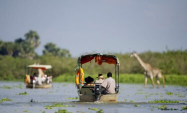 Selous And Ruaha Safari