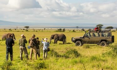Serengeti Adventure
