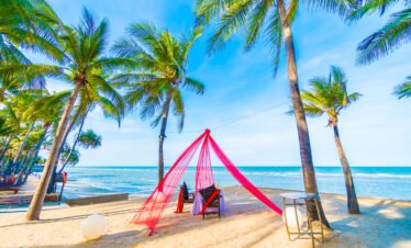 Beach And Wildlife Adventure
