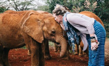 Wildlife And Conservation Volunteering Experience