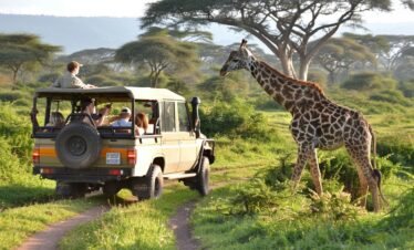 Luxury Safari And Conservation Experience